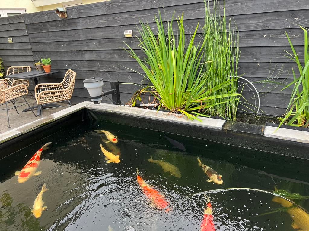 Complete koi  vijver, Tuin en Terras, Ophalen, Gebruikt