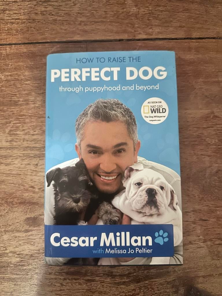 Cesar Millan - How to Raise the Perfect Dog, Ophalen of Verzenden, Gelezen, Overige onderwerpen