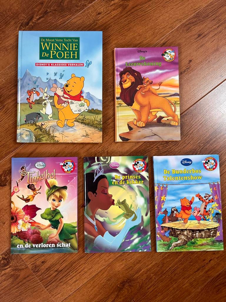 Diverse Disney Boeken Collectie, Ophalen of Verzenden, Gelezen, Sprookjes