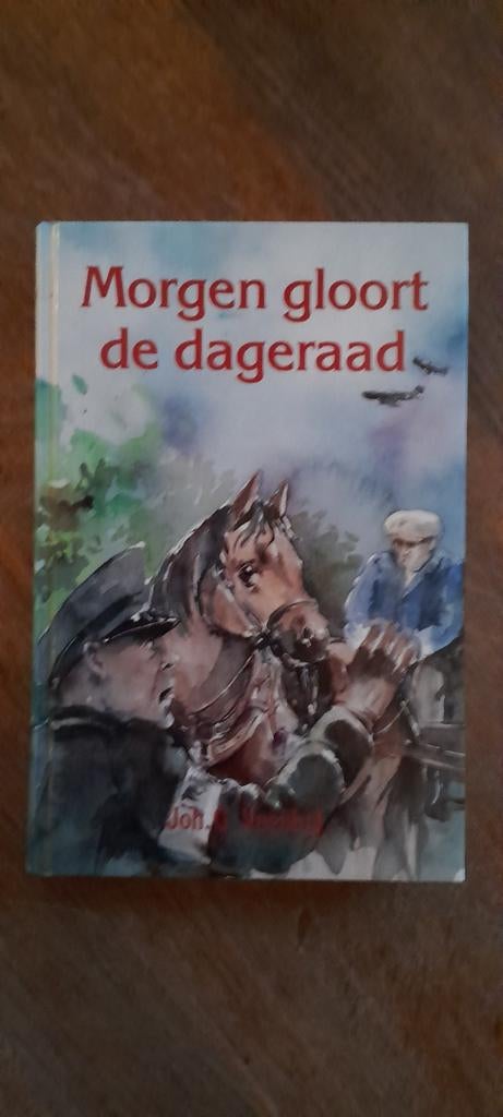 J.G. Veenhof - Morgen gloort de dageraad, Boeken, Ophalen of Verzenden, Zo goed als nieuw, J.G. Veenhof