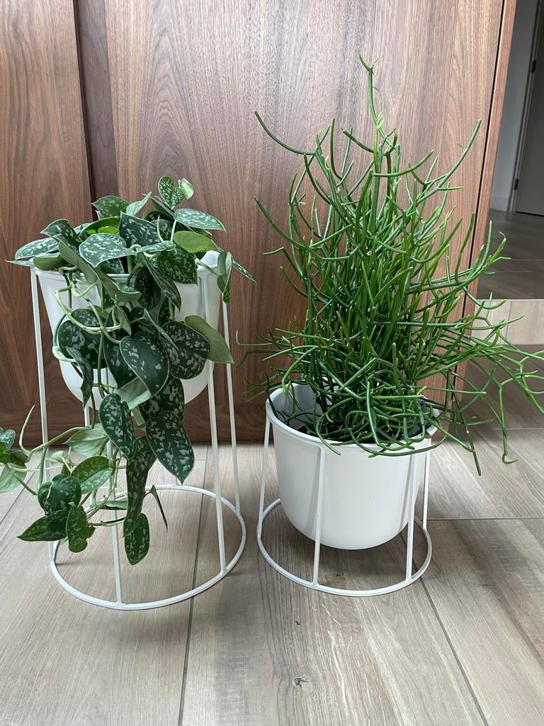 2x Menu Wire Pot wit - Deens Design Bloempot, Tuin en Terras, Bloempotten, Rond, Binnen, Ophalen of Verzenden, Zo goed als nieuw
