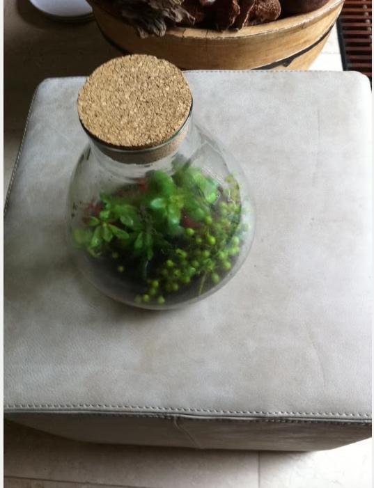 Glazen fles met kurk met kunstplantjes, br 25 cm H 26, Overige kleuren, Ophalen of Verzenden, Minder dan 50 cm, Glas