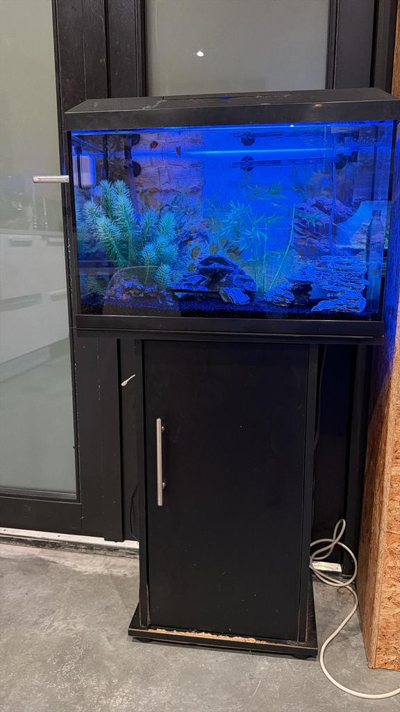 Aquarium, Dieren en Toebehoren, Vissen | Aquaria en Toebehoren, Ophalen, Leeg aquarium