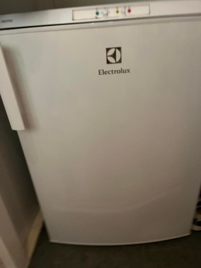 Electrolux Diepvrieskast - Compact en Efficiënt, Witgoed en Apparatuur, Vriezers en Diepvrieskisten, Gebruikt, Minder dan 60 cm