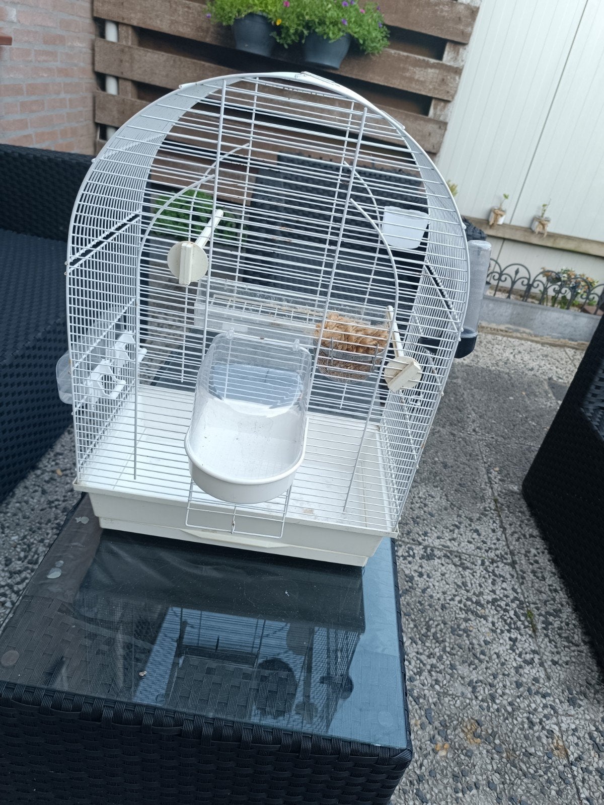 Mooie vogelkooien te koop, in goede staat., Dieren en Toebehoren, Ophalen, Hout, Vogelkooi