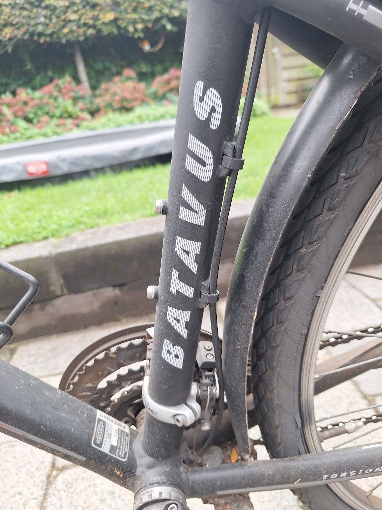 Foto 6 van Batavus Venturo s55 - opknapper