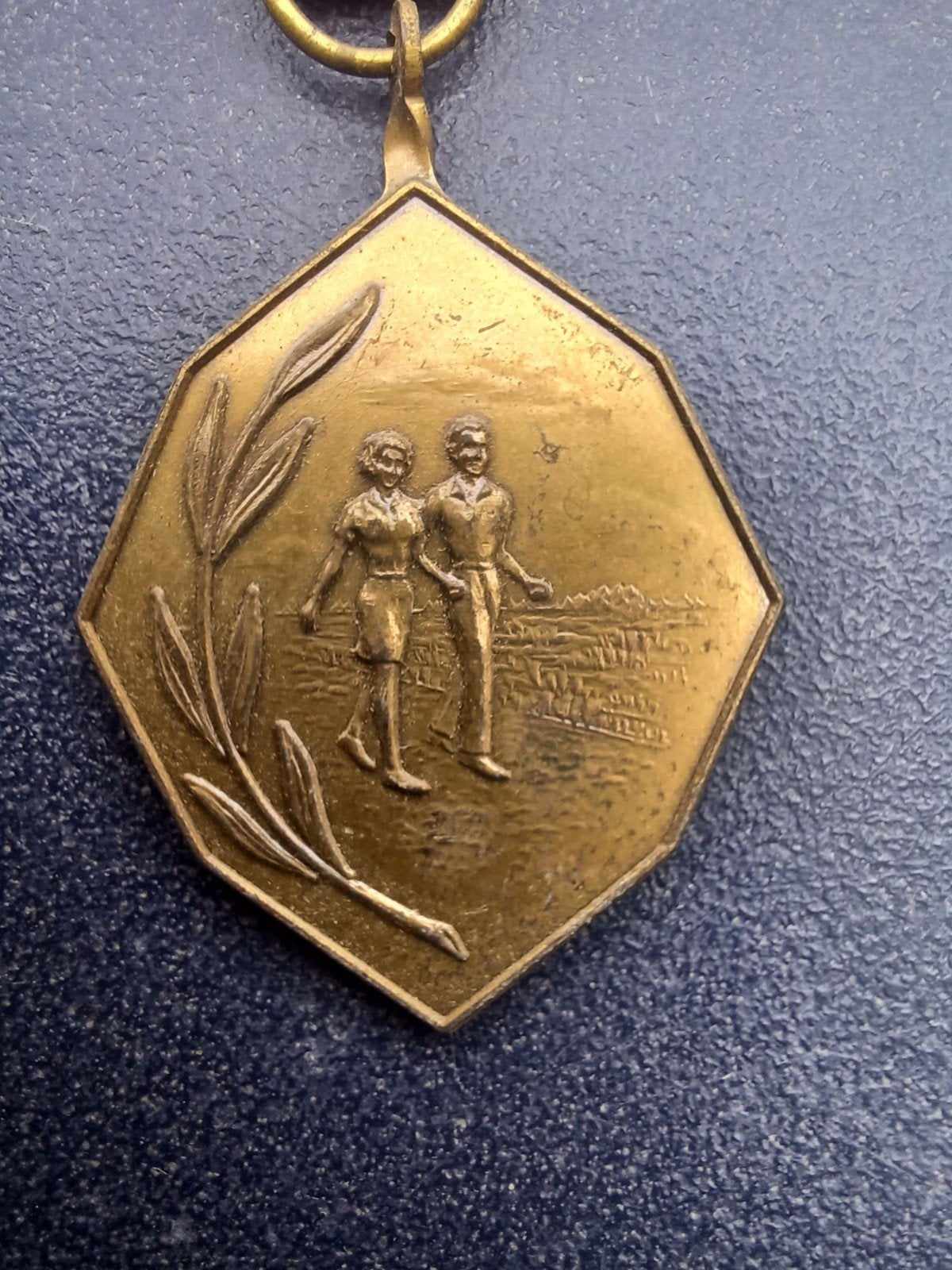 Foto 3 van Medaille WSV De Troubadours Loosbroek