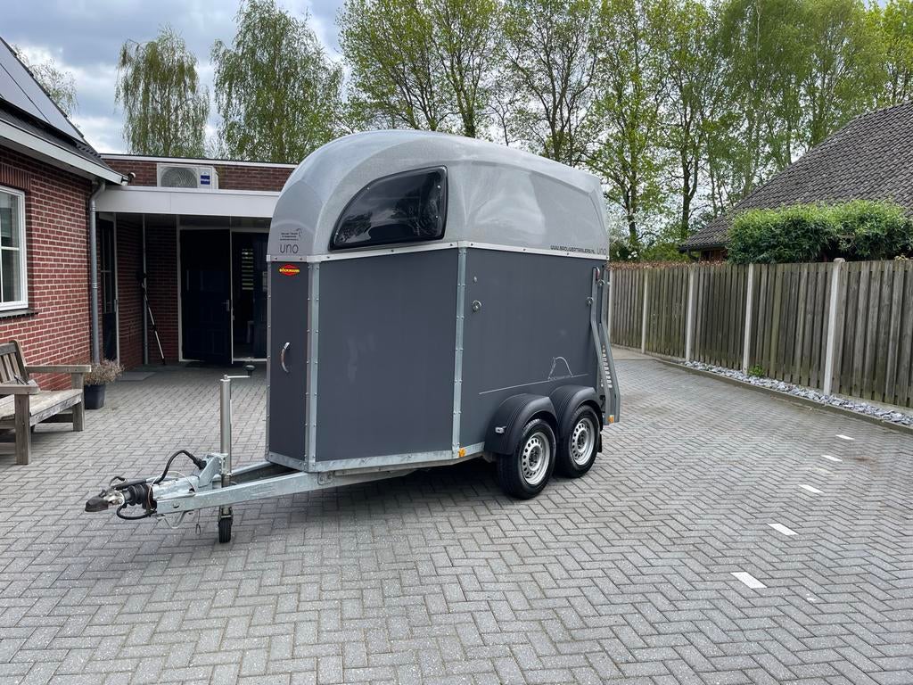 Prachtige 1 1/2 paards bockmann uno paardentrailer, Ophalen, Gebruikt, Hout, 1½-paards trailer