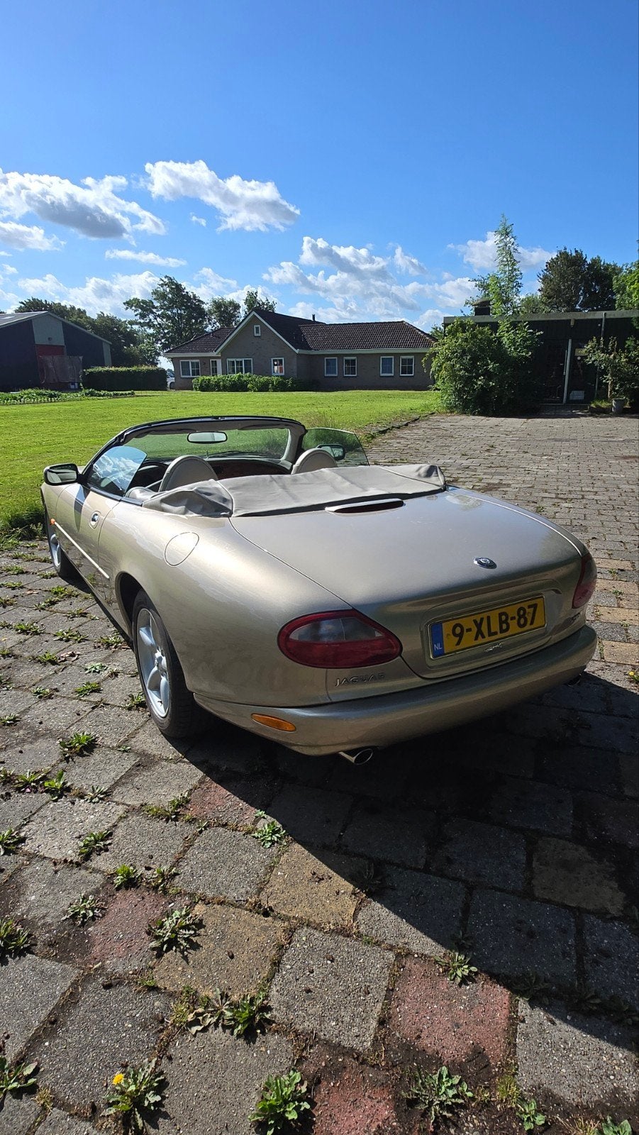 Jaguar XK8 4.0 Convertible 1999 Bruin, foto 12
