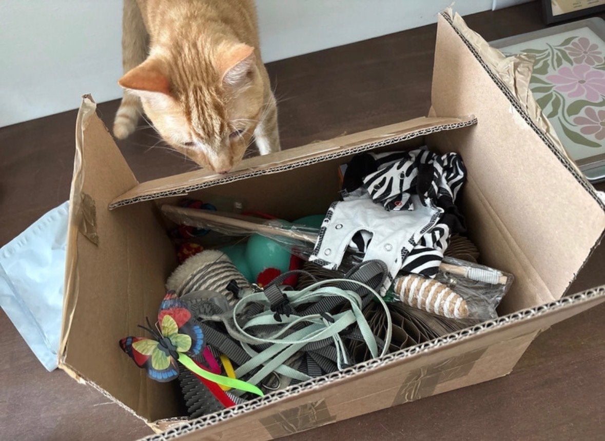 Verassingsbox XXL cats, Dieren en Toebehoren, Ophalen of Verzenden, Zo goed als nieuw