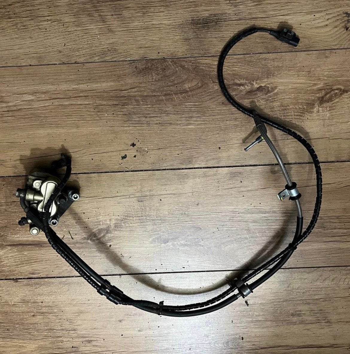 Voor Remklauw beverly 350 €50 ABS sensor beverly 350 voor, Ophalen of Verzenden