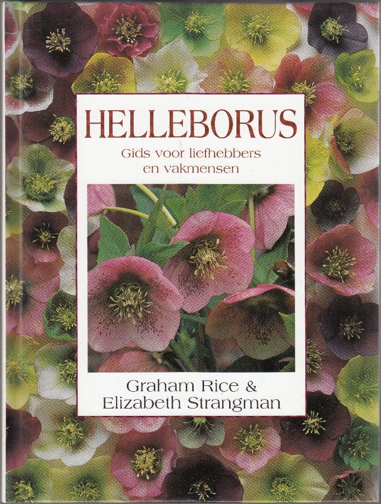 Helleborus / Rice /Hanneke van Dijk, Ophalen of Verzenden, Zo goed als nieuw, Rice / Hanneke van Dijk, Tuinieren en Tuinplanten