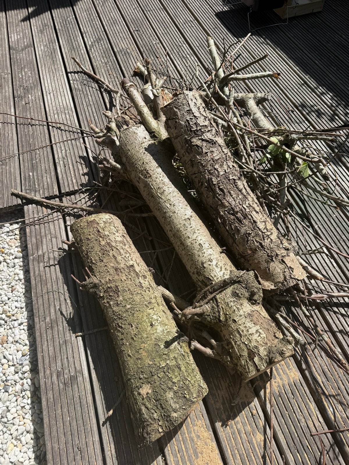 Haardhout - Stammen en Takken, Tuin en Terras, Minder dan 3 m³, Ophalen, Overige houtsoorten, Stammen