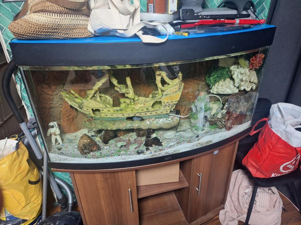 Tekoop aquarium, Overige typen