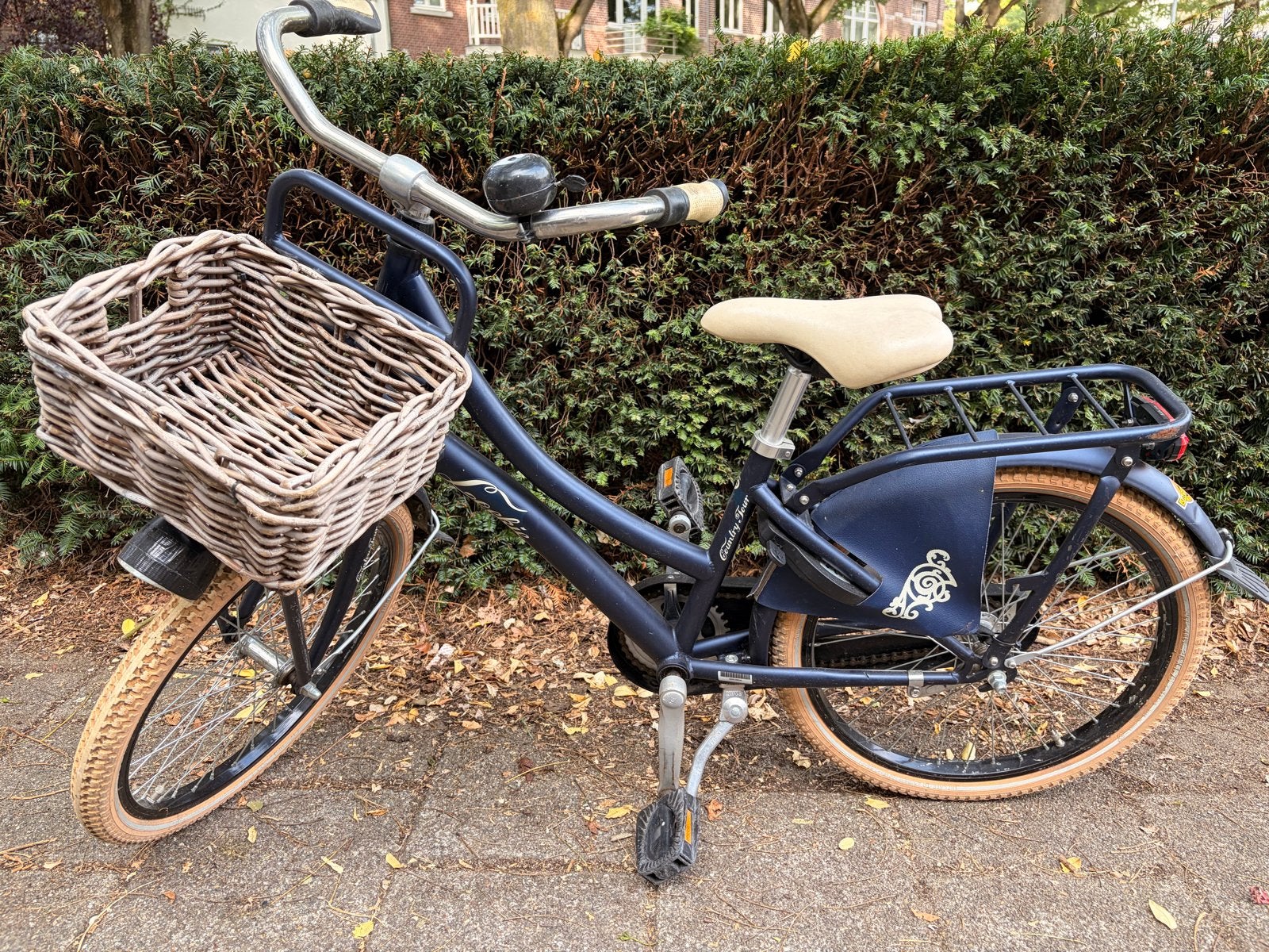 Loekie Country Tour kinderfiets met mandje 20 inch, Fietsen en Brommers, Ophalen, Gebruikt, 20 inch