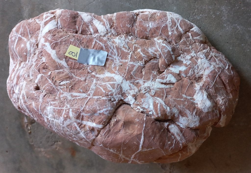 Mooie grote steen rood/bruin met witte lijnen., Ophalen, Nieuw