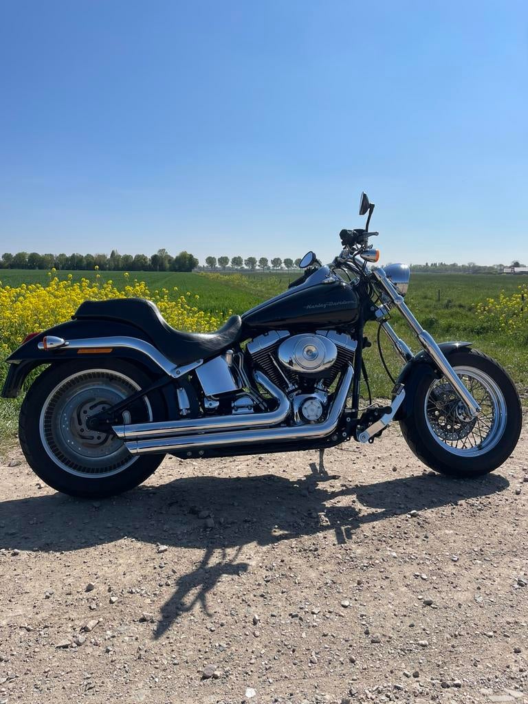 Harley-Davidson Softail twin cam ., Motoren, Motoren | Harley-Davidson, 2 cilinders, Chopper, Gebruikt, Particulier