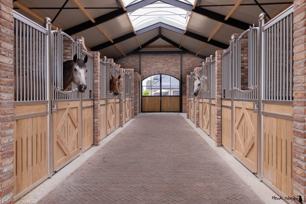 Pensionstal met weidegang gezocht, Dieren en Toebehoren, Stalling en Weidegang, Weidegang, 1 paard of pony