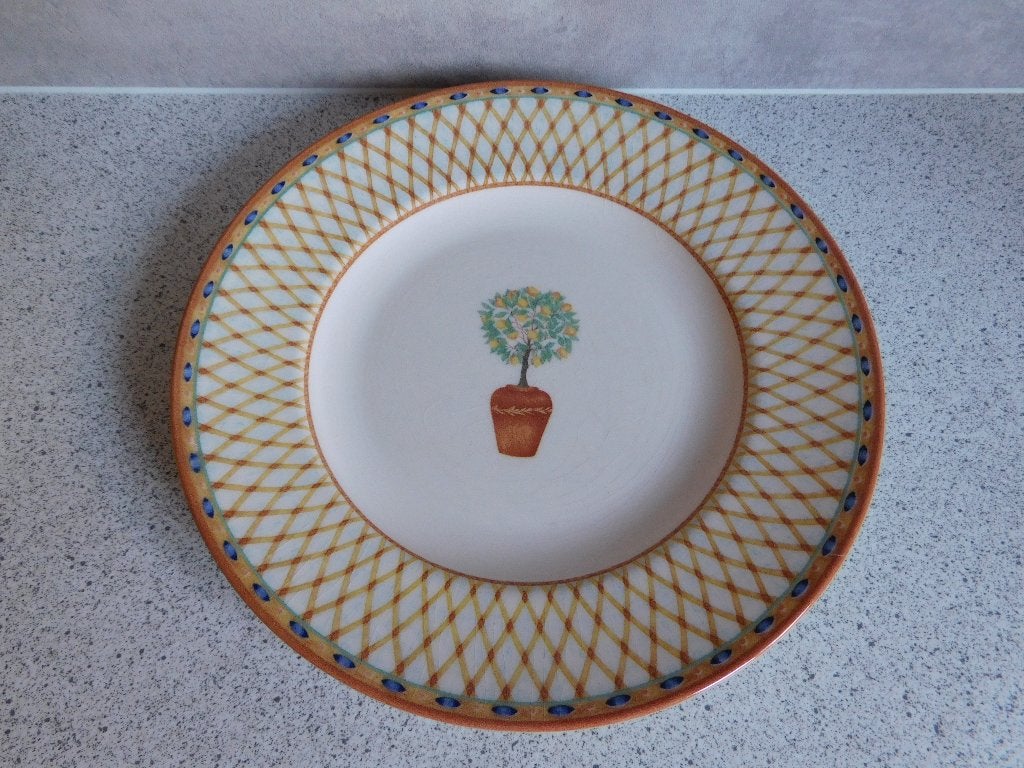 Bord 21 cm. Lemontree Johnson Brothers, Huis en Inrichting, Keuken | Servies, Gebruikt, Overige merken, Ophalen of Verzenden, Bord(en)
