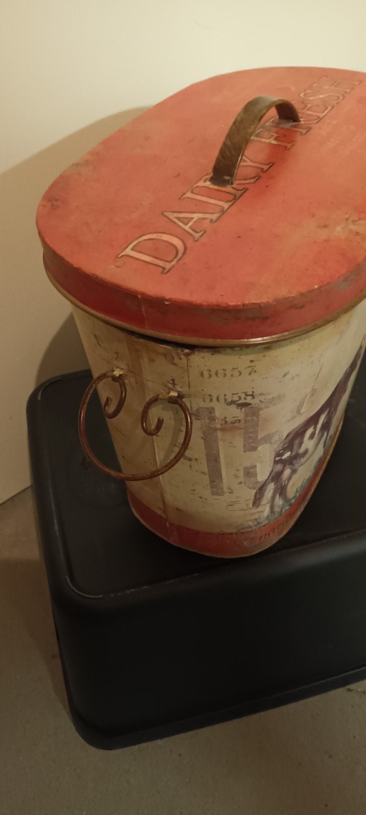 Blik met  Koeienprint, Ophalen of Verzenden