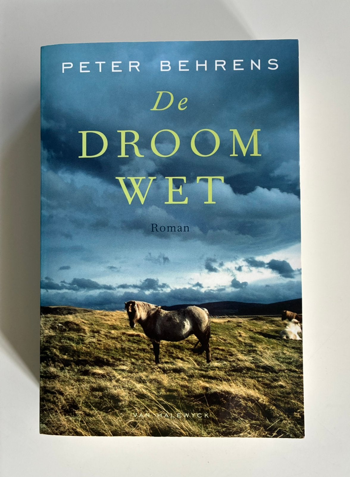 Peter Behrens - De droomwet, Ophalen of Verzenden, Zo goed als nieuw, P. Behrens