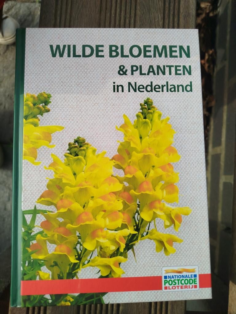 Wilde Bloemen & Planten in Nederland, Ophalen of Verzenden