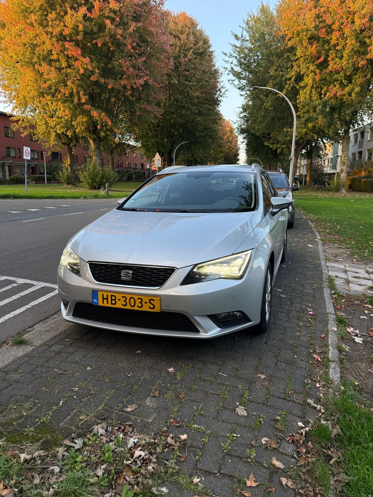 Seat Leon 1.6 TDI 110pk Dsg-7 2016 Grijs, 4 cilinders, Origineel Nederlands, Stationwagon, Diesel