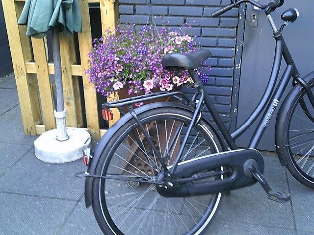 Omafiets Cortina U1, 50 tot 53 cm, Ophalen