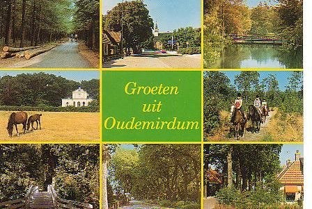 Ansichtkaart 	Oudemirdum	8-luik	Paarden, Verzenden, 1980 tot heden, Gelopen, Friesland