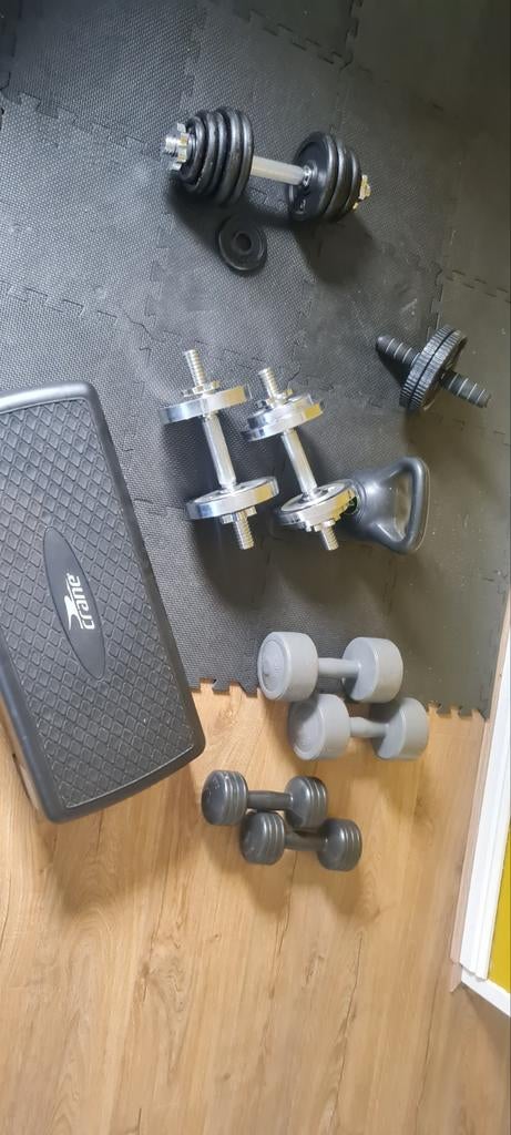 Complete Home Gym Set: Dumbbells, Kettlebell, Step-Up & Meer, Ophalen, Gebruikt, Benen, Dumbbell