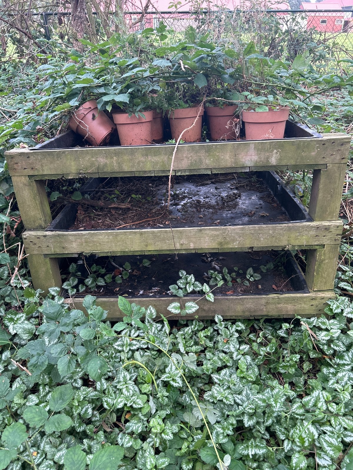 Houten Kweekbak 140x124x35 cm - Ideaal voor uw tuin, Ophalen of Verzenden, Gebruikt, Kweekbak