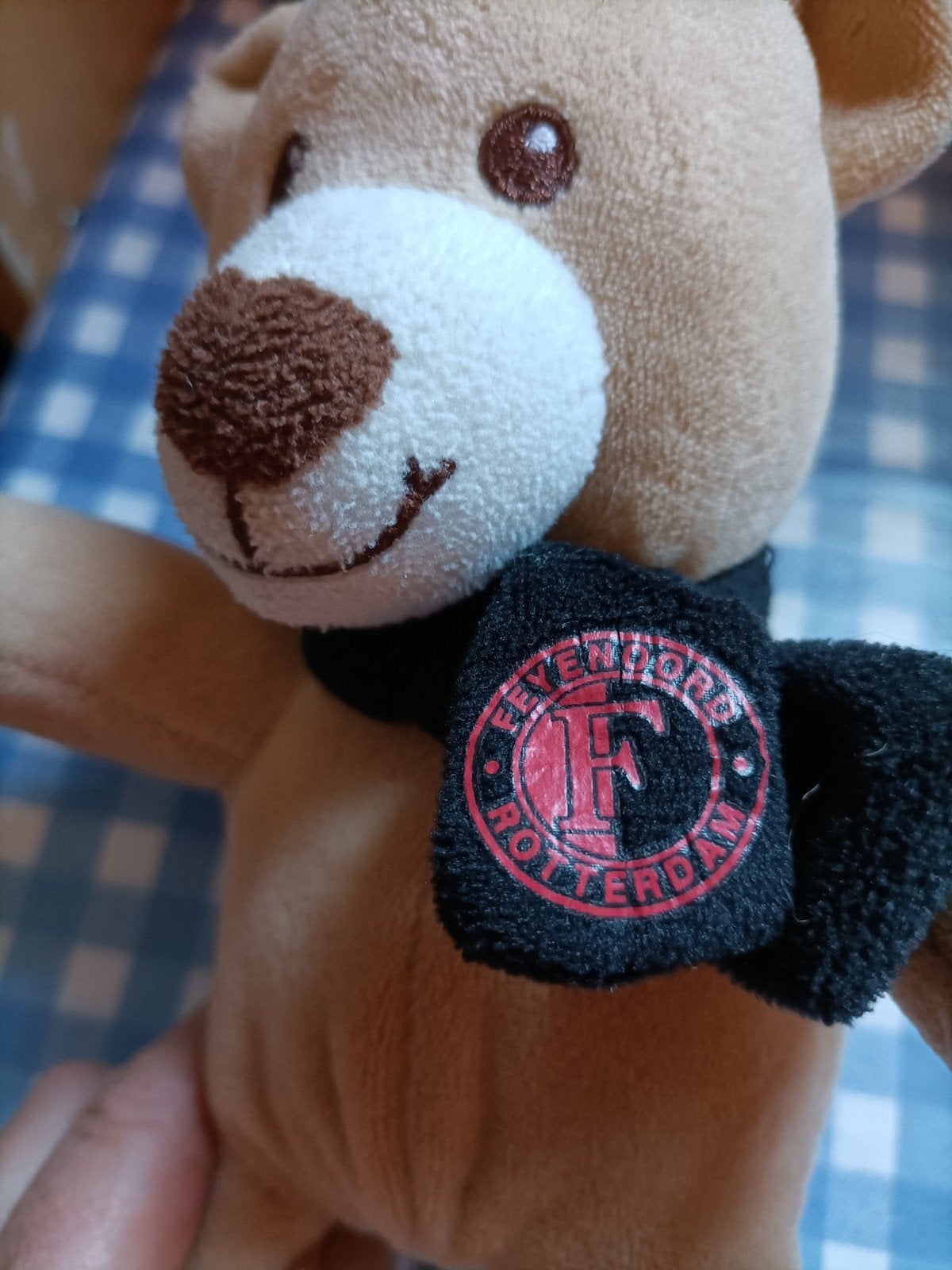Feyenoord beer knuffel met sjaal 23 cm groot, Kinderen en Baby's, Speelgoed | Knuffels en Pluche, Ophalen of Verzenden, Gebruikt