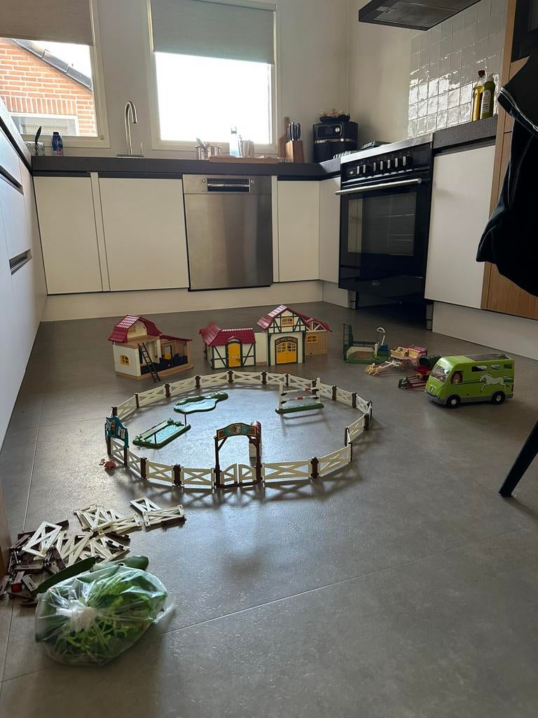 Playmobil paard (losse verkoop ook mogelijk), Ophalen