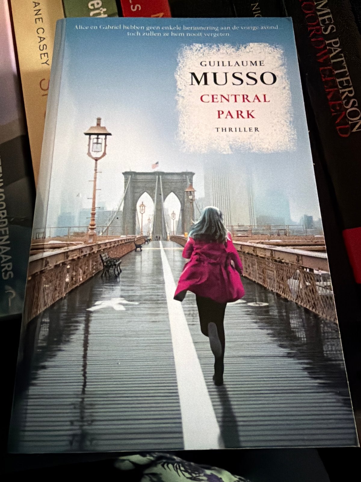 Z2.   Guillaume Musso - Central Park, Boeken, Europa overig, Ophalen of Verzenden, Zo goed als nieuw, Guillaume Musso