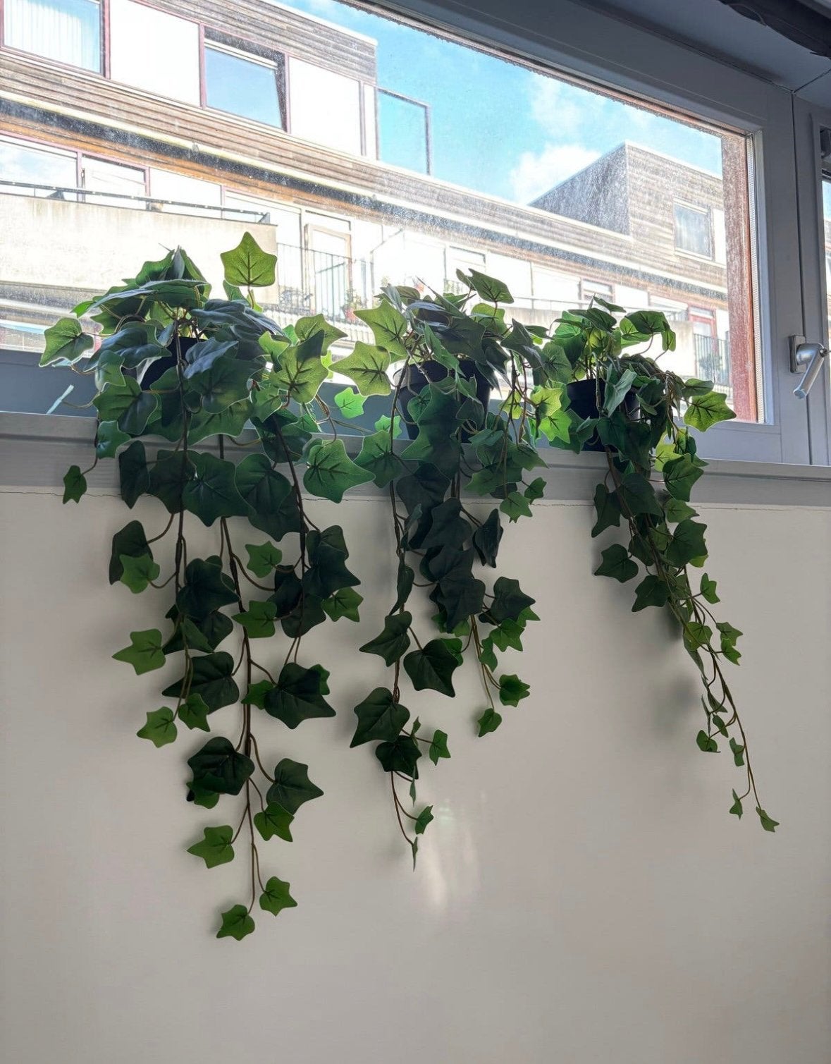 IKEA Fejka Kunstplant Klimop (3 stuks), Ophalen, Binnen, Groen, Zo goed als nieuw