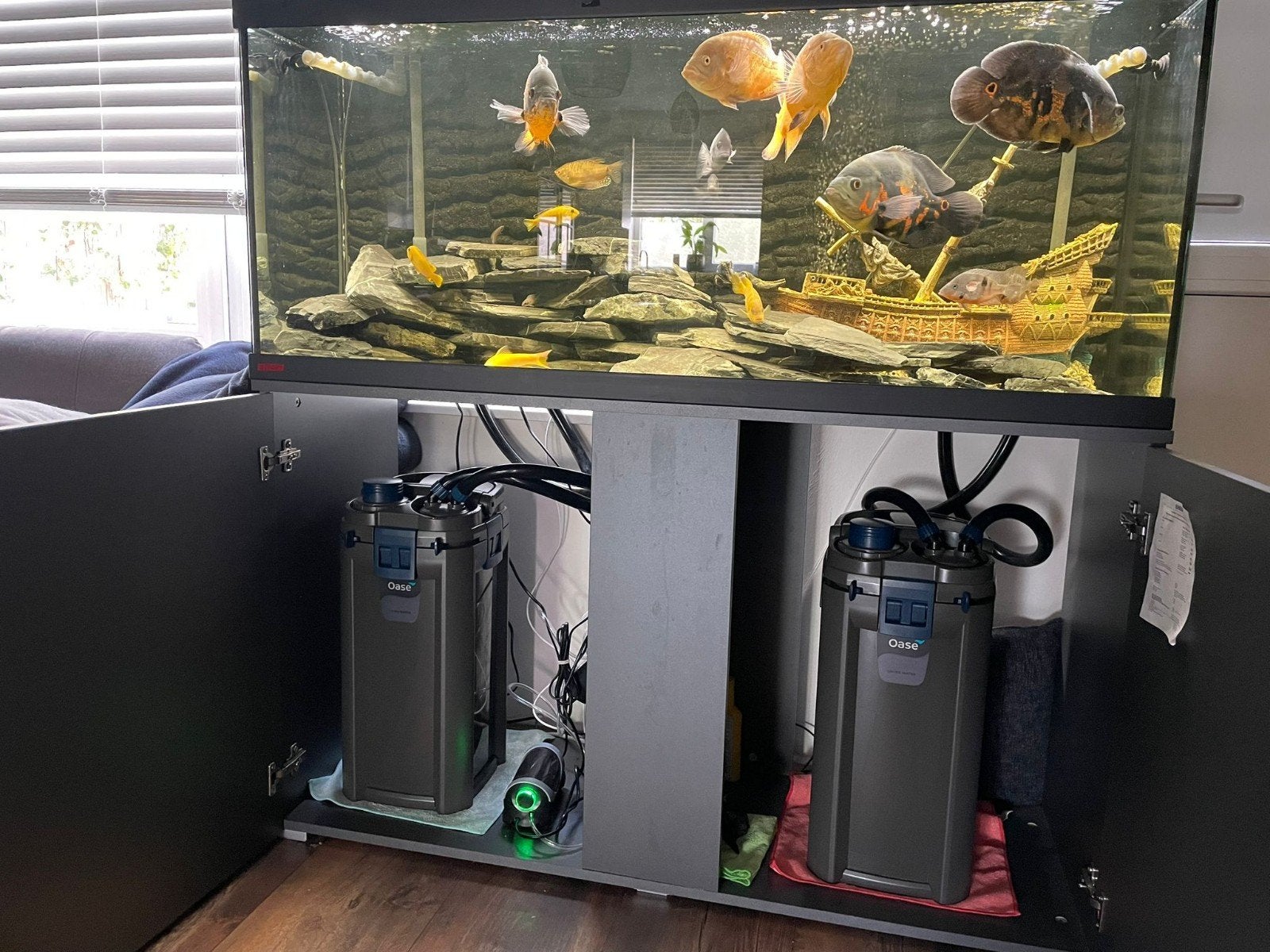 Eheim vivaline 240 + 2x Oase biomaster 850, Dieren en Toebehoren, Ophalen, Zo goed als nieuw, Gevuld zoetwateraquarium