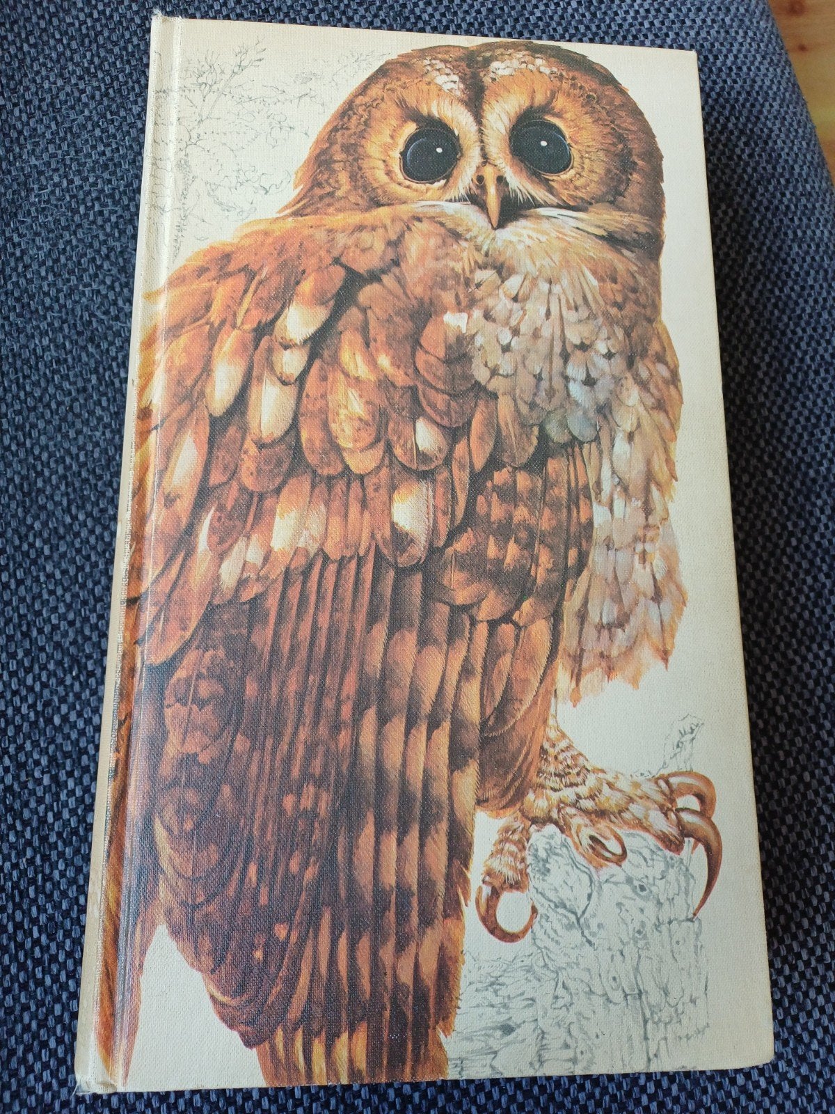 Het Beste Vogelboek Readers Digest 1971 - Vintage Perfecte S, Boeken, Reader's Digest, Ophalen of Verzenden, Zo goed als nieuw