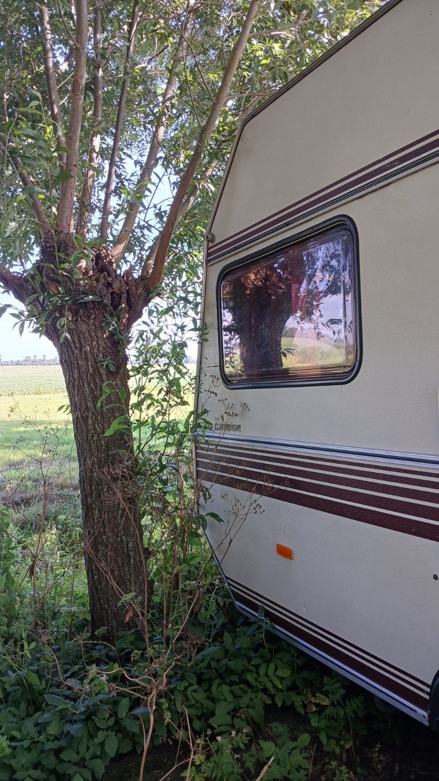 Retro caravan, Kip, Treinzit, Dwarsbed, Particulier
