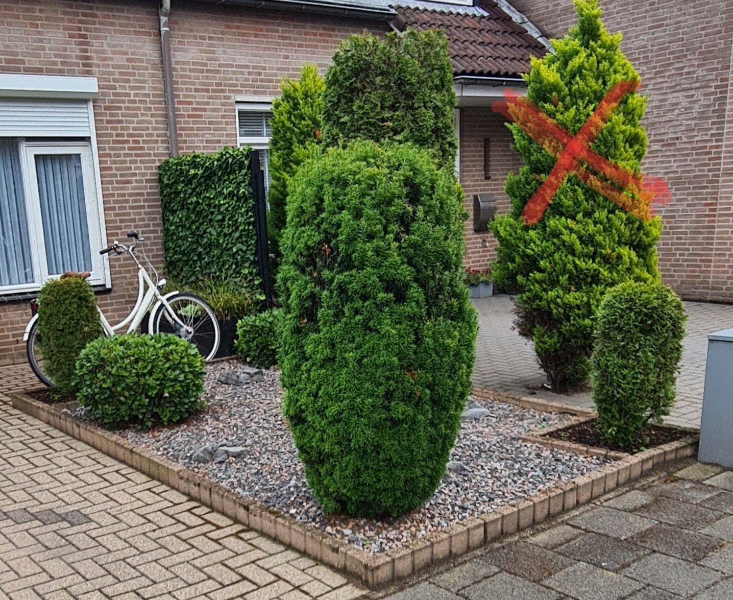 Gratis grind en tuinplanten, Ophalen of Verzenden, Gebruikt, Multi
