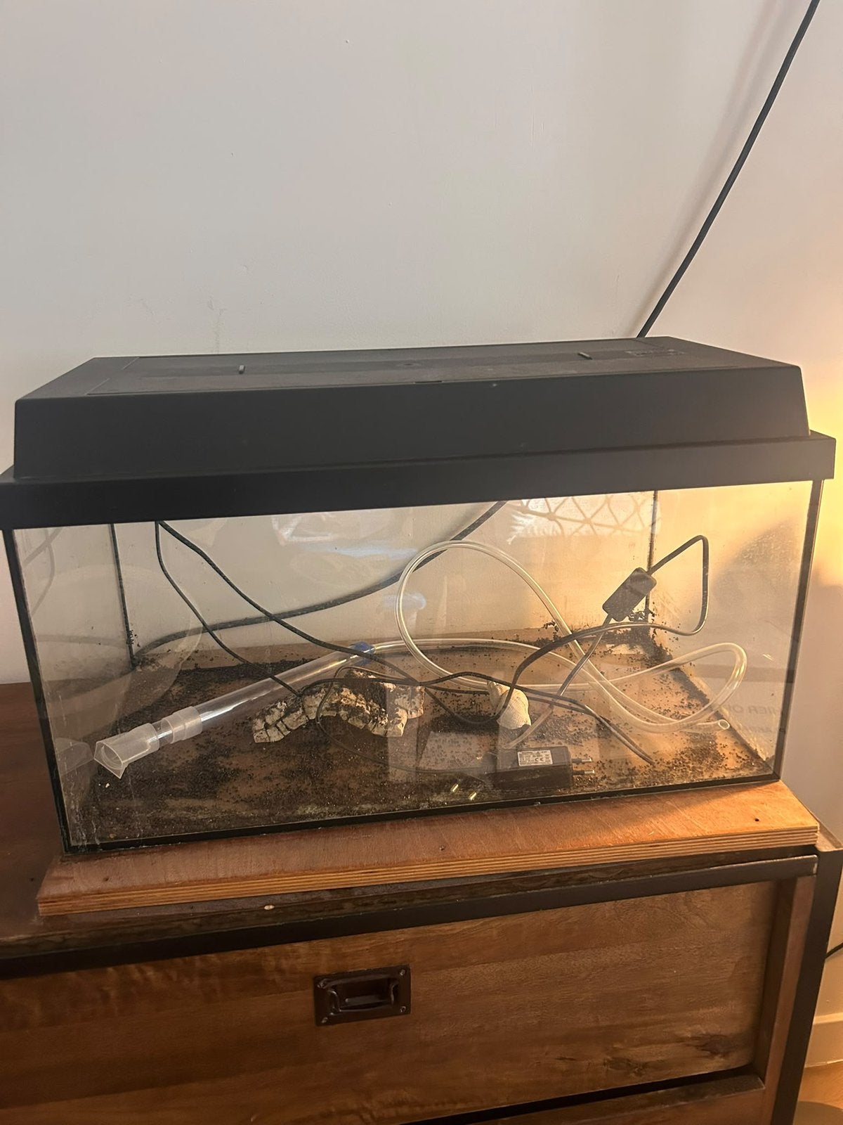 Aquarium 60 Liter, Dieren en Toebehoren, Ophalen, Gebruikt, Leeg aquarium, Juwel