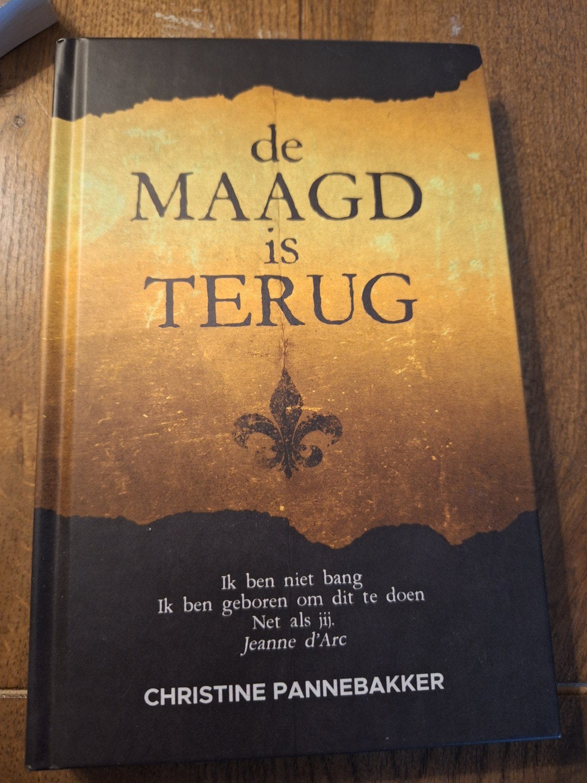 De Maagd is Terug - Christine Pannebakker, Ophalen of Verzenden, Zo goed als nieuw, Christine Pannebakker, Nederland