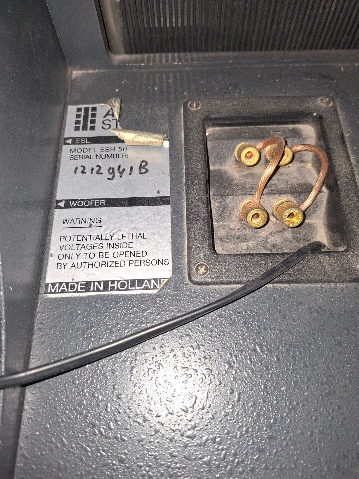 Electrostaten ESH 50 - Top Geluidskwaliteit, Ophalen of Verzenden, Zo goed als nieuw, Vloerstaande luidspreker, Overige merken
