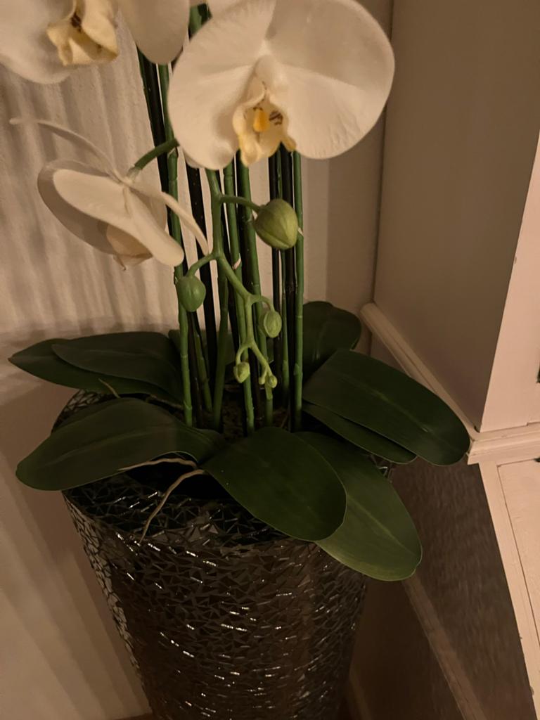 Grote kunst orchidee van tuincentrum, Ophalen, Binnen, Kunstplant, Intratuin