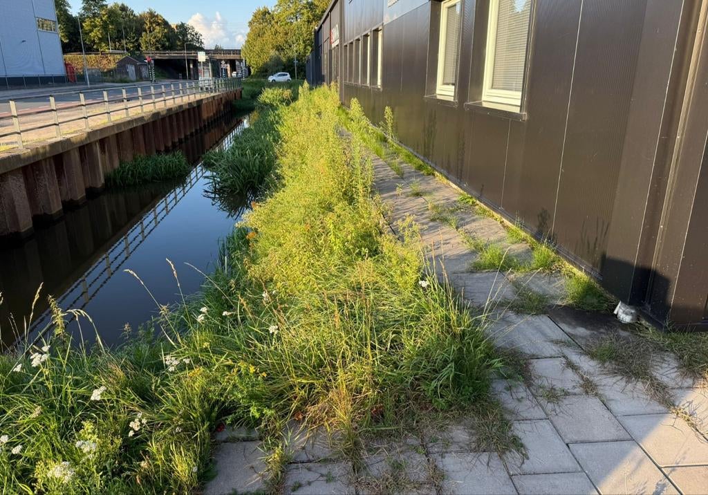 Tuin/terras schoonmaken Aangeboden/Gezocht, Ophalen of Verzenden