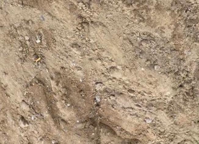 Gratis te storten: schoon geel/wit zand bij Wijchen, Ophalen, Gebruikt, Ophoogzand