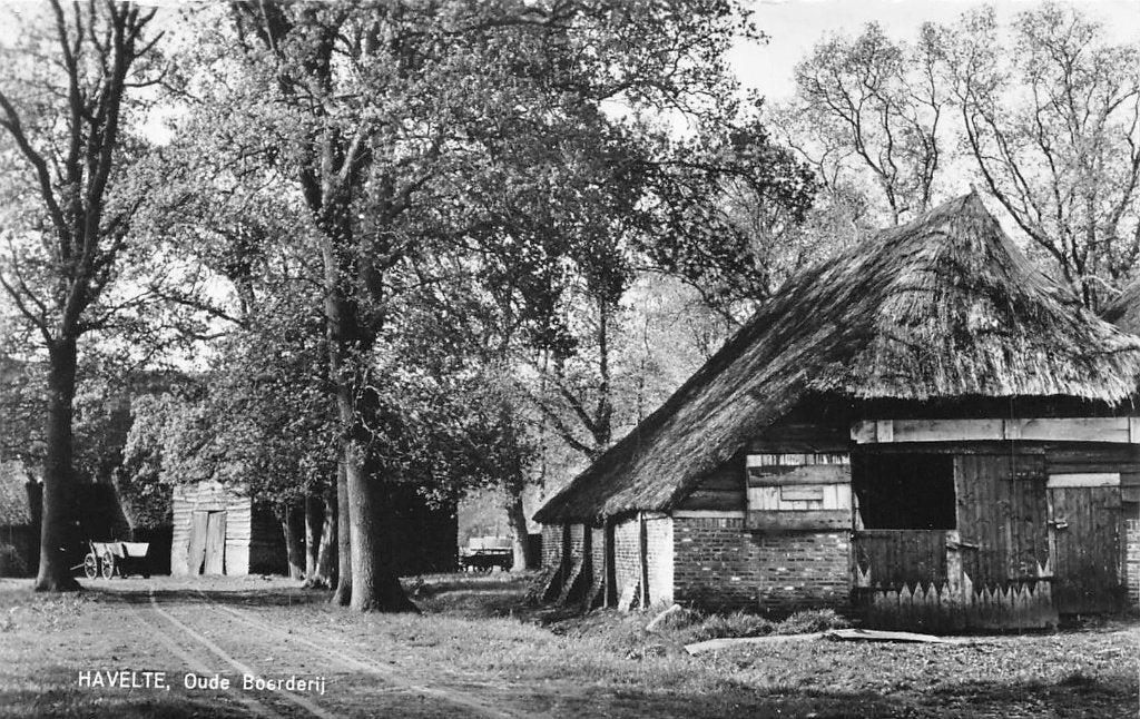 729 Havelte - Oude Boerderij, Ophalen of Verzenden, 1960 tot 1980, Ongelopen, Drenthe