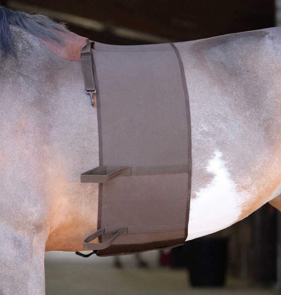 Bodybandage buik bescherming paard/pony S M L Bruin/Zwart, Fr, Ophalen of Verzenden, Ekkia, Fr