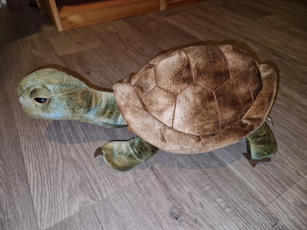 Grote schildpad knuffel, Ophalen