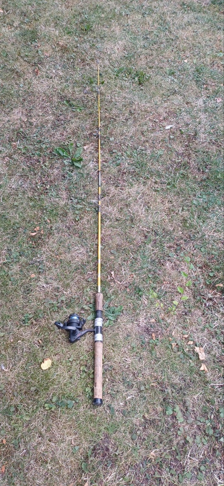 Werphengel 1.80 meter met molen, Watersport en Boten, Hengelsport | Algemeen, Ophalen, Gebruikt, Werphengel