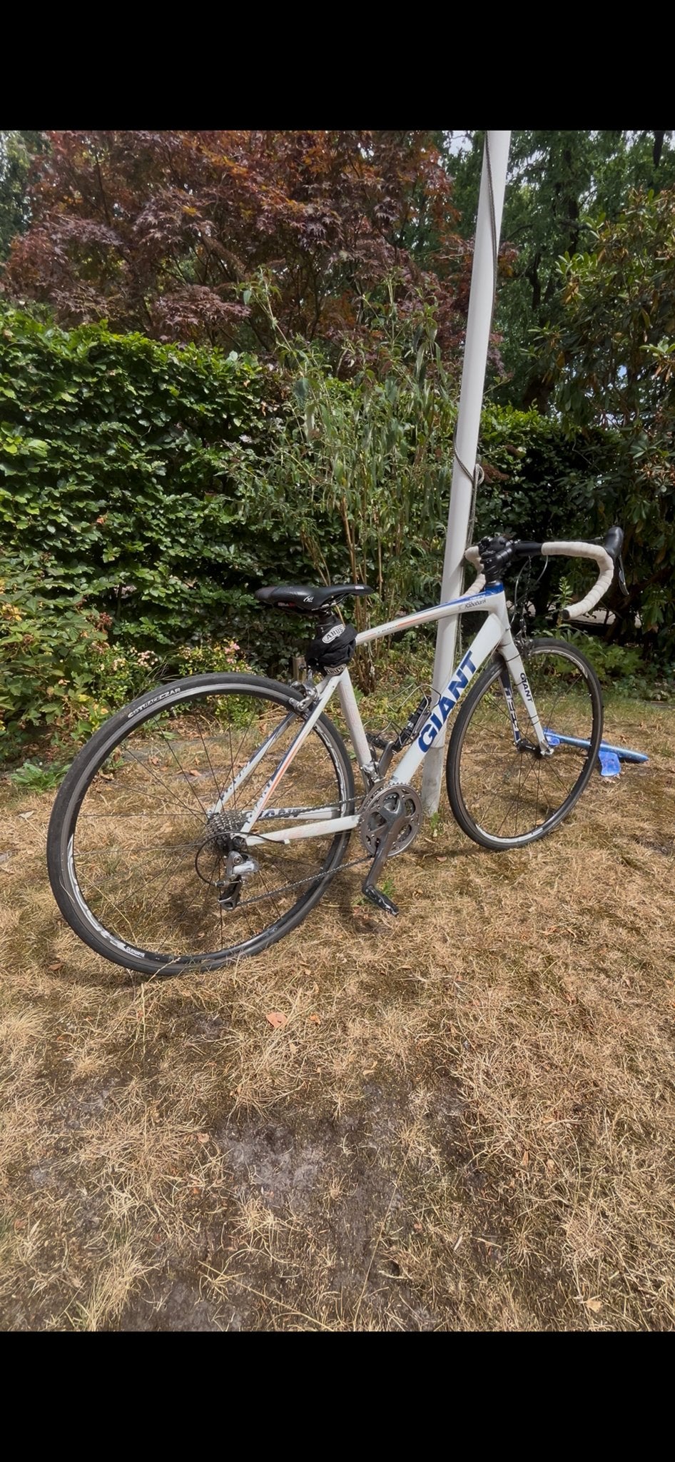 Giant Wielrenfiets voor kinderen en volwassenen maat M, Fietsen en Brommers, Fietsen | Racefietsen, Ophalen, Gebruikt, 26 inch